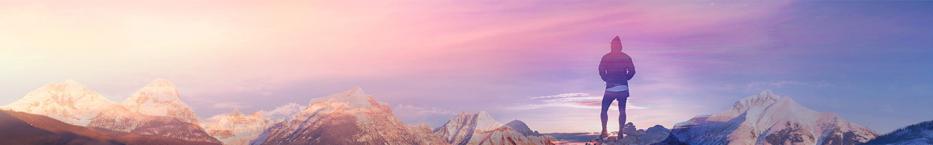 案例展示 案例展示